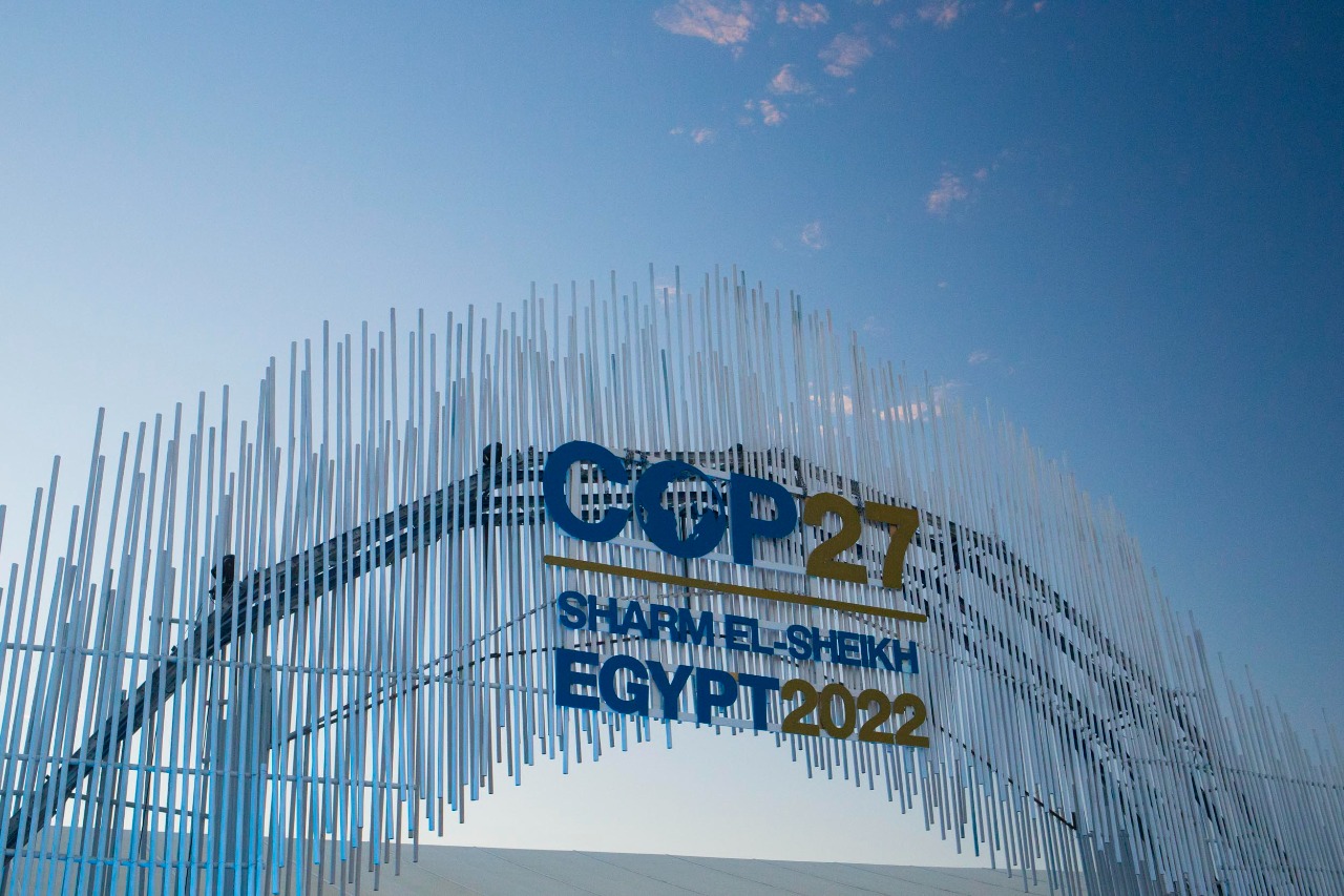 COP27 (2022). Image by IRENA/Flickr. Licensed under CC BY-NC-ND 2.0.