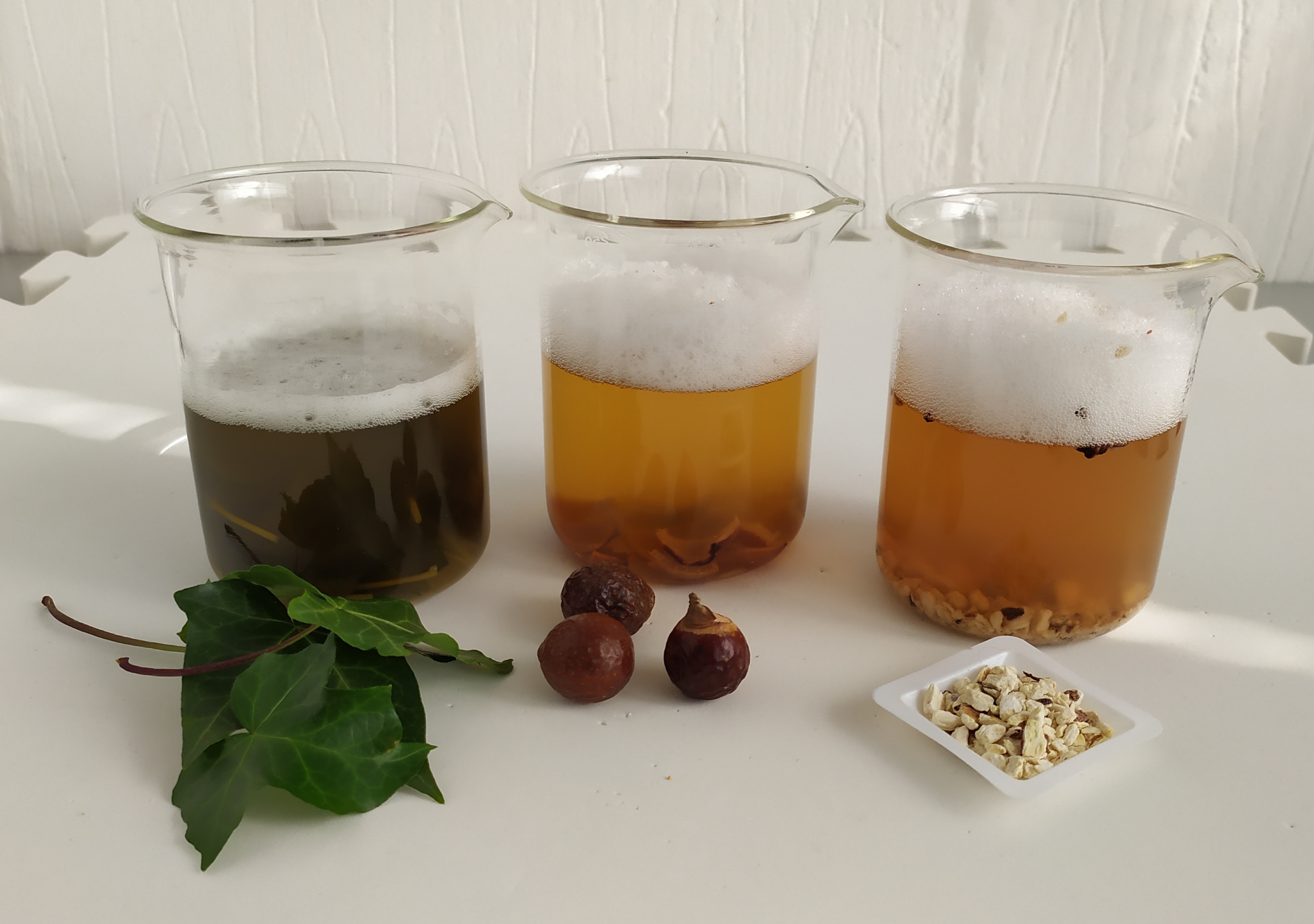 Saponin plant extractions. From left to right: Hedera Helix leaves, Sapindus Mukorossi fruit pericarp, and Saponaria Officinalis dried roots. Image courtesy of Caterina Celada-Prior.