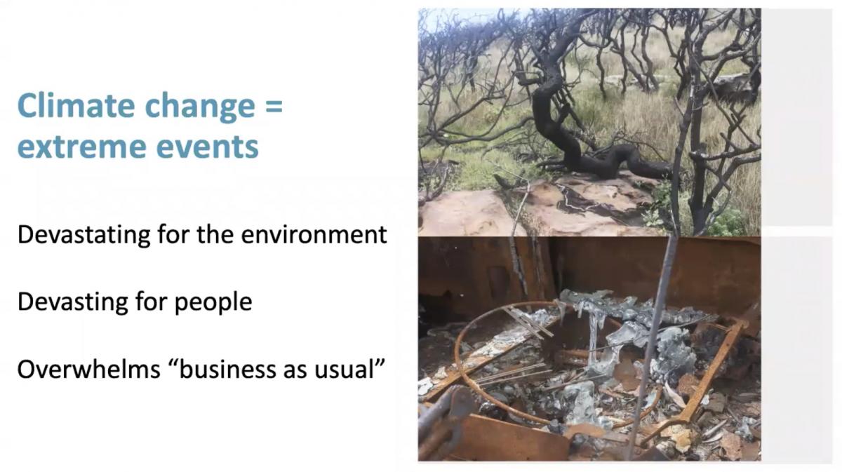 Screen Shot from Alison Wain’s presentation, Hearts and Homes: the Potential of Conservation Laser Cleaning for Postdisaster Wellbeing and Waste Reduction