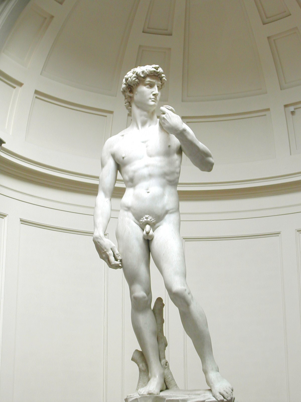 Michelangelo S David Has Weak Ankles International Institute For Conservation Of Historic And Artistic Works,Small Space Parallel Modular Kitchen Designs