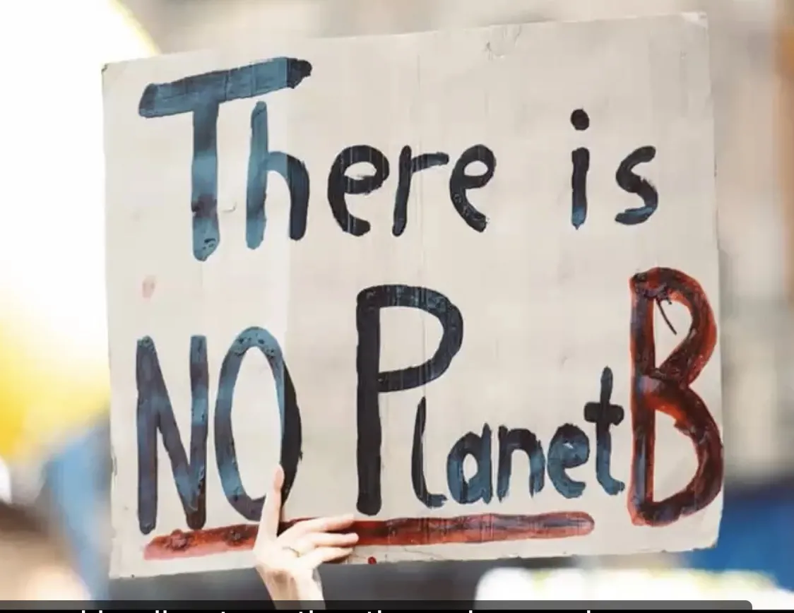 There is no response to planet B poster