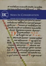 News in Conservation, Issue 93, December-January 2023
