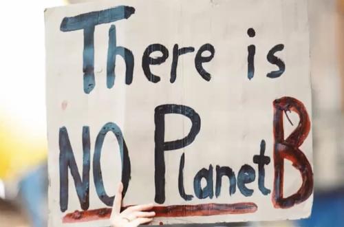 There is no planet B poster