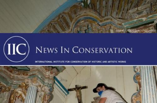 Cover image: News in Conservation, Issue 80, October-November 2020