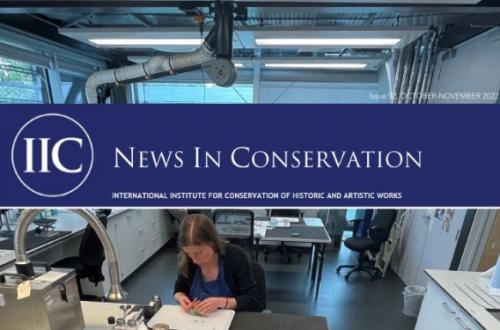 Cover image: News in Conservation, Issue 92, October-November 2022