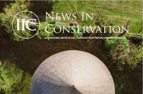 News in Conservation, Issue 99, December-January 2024 Cover image