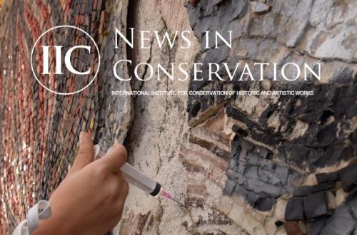 News in Conservation, Issue 100, February-March 2024 Cover image